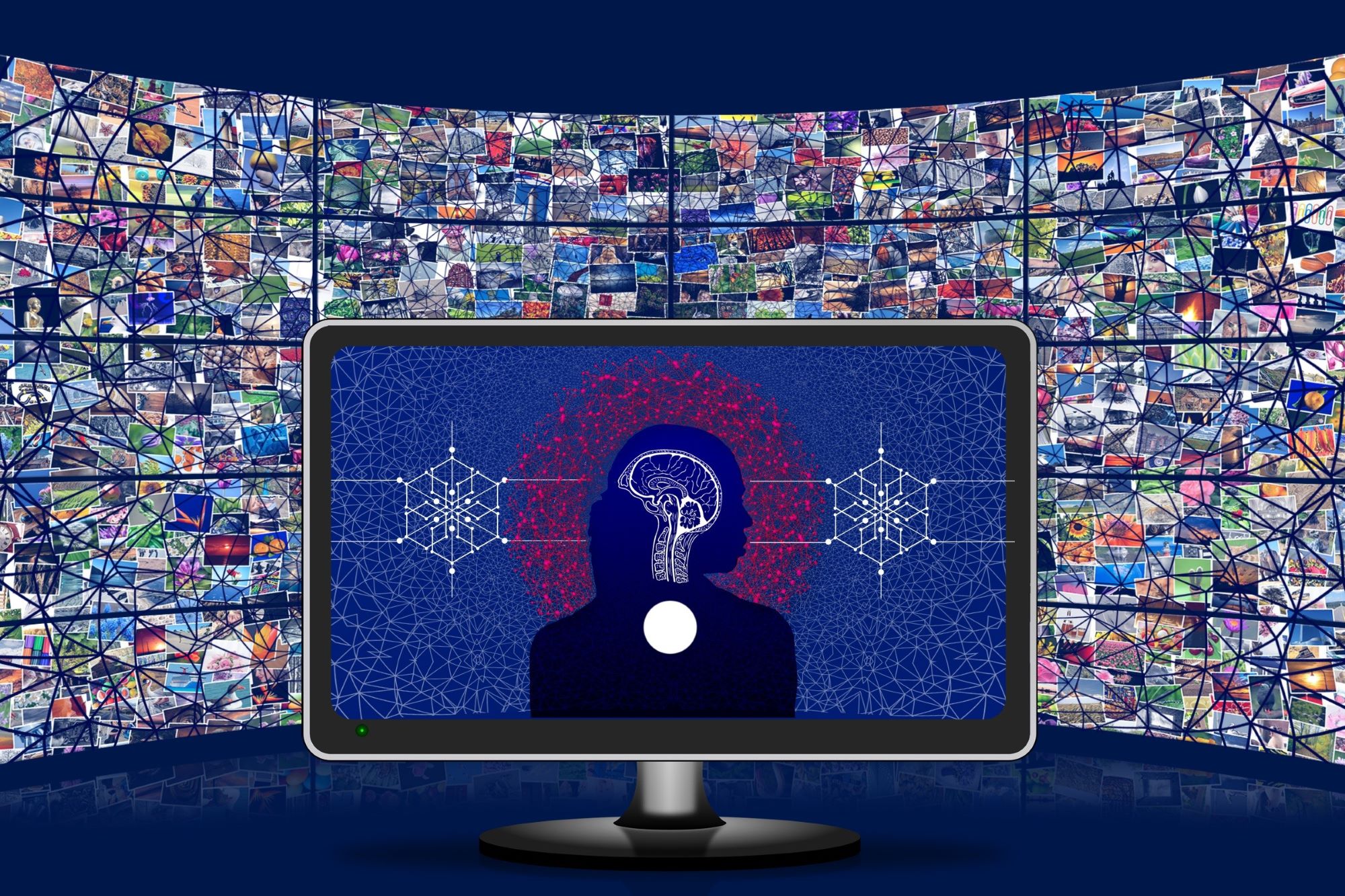 Understanding TikTok’s Algorithm